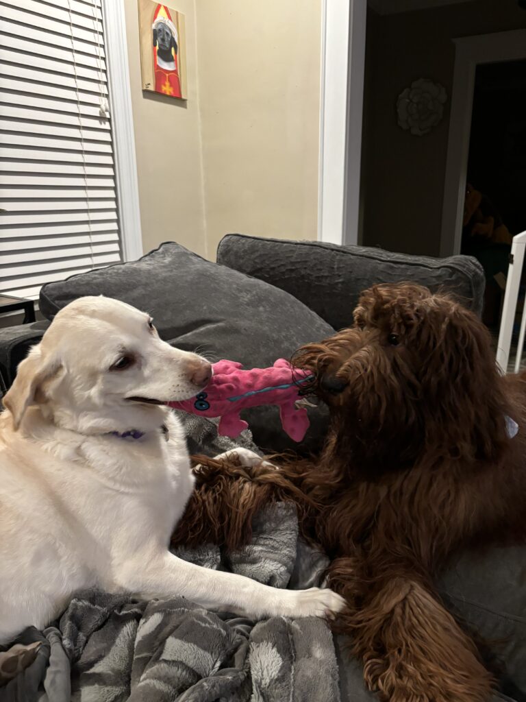 The Duel